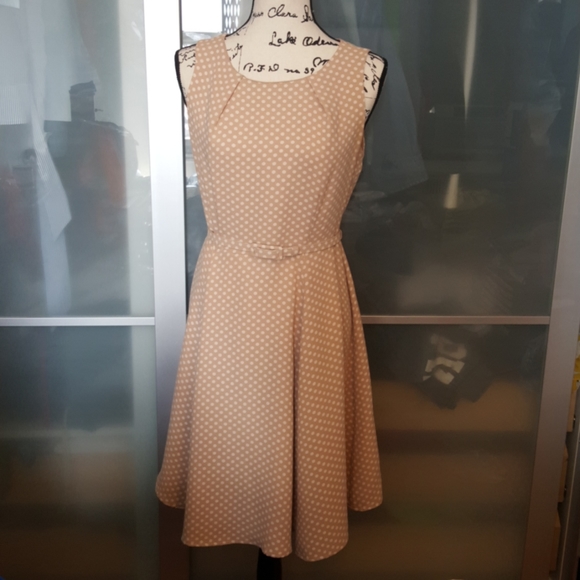 eva mendes for New York & Company Dresses & Skirts - EVA MENDES POLKA DOTS FIT & FLARE